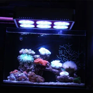 My little tank with LED light02.jpg