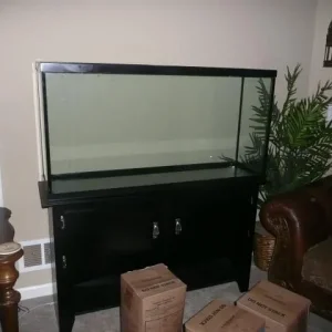 tank set up 003.jpg