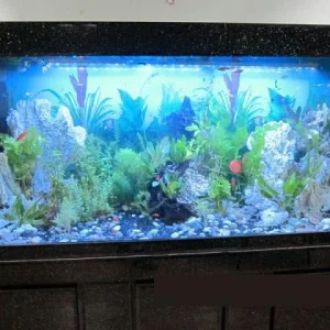 my tank06.jpg