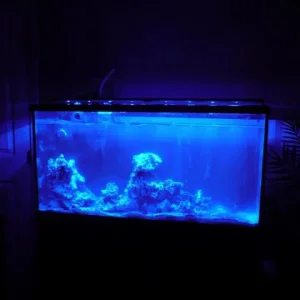 tank set up 008.jpg