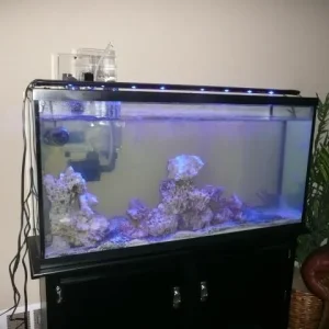 tank set up 006.jpg