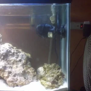 fish_tank_pic_3.jpg