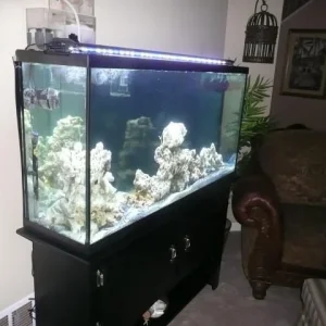 tank set up 014.jpg