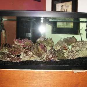 FTS 01.24.2012.jpg